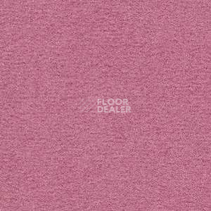 Ковролин Radici Nexus Cassis 8250 фото 1 | FLOORDEALER